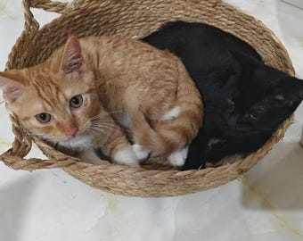 Ninho de brincar para gatos feito à mão: cama refrescante natural, esconderijo portátil (40 cm, <10 lbs)