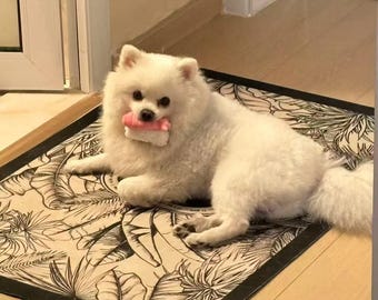 Regalo para mascotas para la vuelta al cole, juguete de sushi kawaii para perros, bonito peluche para perros y gatos pequeños, divertido regalo para cachorros y gatitos, juguete masticable chirriante único.