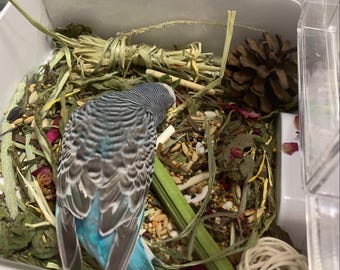 Mezcla de hierbas para loros (150 g): alimento natural para pájaros con 16 ingredientes botánicos, color de pluma