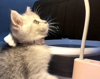 White Angel Wings Cat Collar – Cute Adjustable Kitten Collar (24-34cm) for Small Pets