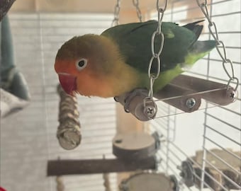 Parrot Wooden Swing Stand Bird Cage Toy Natural Perch Hanging Climbing Play Gym