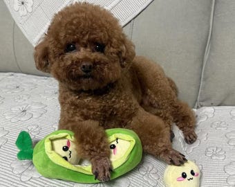 Pea Pod Crinkle Dog Toy – Cute Squeaky & Crinkle Puppy Toy for Small Dogs – Interactive Chew Toy for Boredom-Busting Fun