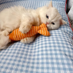 May include: A white cat with blue eyes lies on a blue and white checkered bedspread, holding a plush orange fish toy in its mouth.