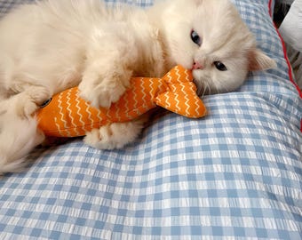 May include: A white cat with blue eyes lies on a blue and white gingham bedspread, holding a plush orange fish toy in its mouth.