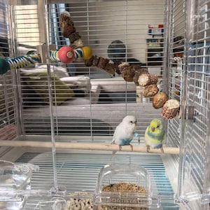 Handmade Parrot Toy Chewing Ladder - Natural Wood & Fruit Perch for Birds - Cage Climbing Stand for Cockatiels, Budgies (60cm)
