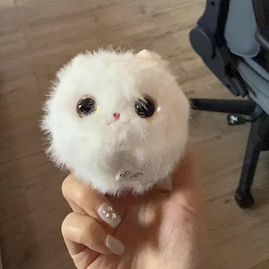 May include: A fluffy white plush toy cat with large black eyes and a small pink nose. The cat has a round body and small ears. The toy is held in a hand.