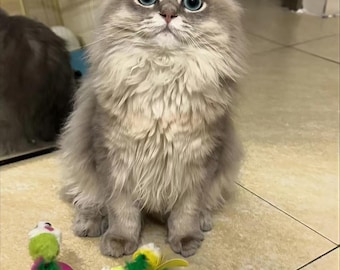 6-Pack Feather Mice & Tumbler Cat Toys – Bunny Fur, Crinkle Sound – Interactive Kitty Play