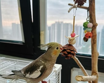 Juguete para pájaros en forma de piña: juguete masticable natural para periquitos y cotorras