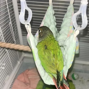 May include: A green cheek conure parrot perched in a hanging bird hammock. The bird has green feathers with a brown head and red tail feathers. The hammock is light green with a floral pattern, suspended by white plastic clips.