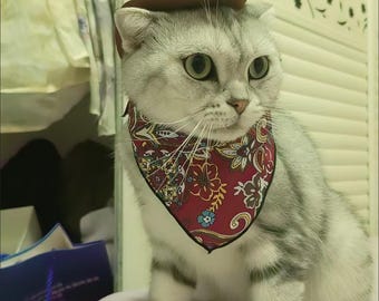 Disfraz de vaquero para mascota: minisombrero y pañuelo - Accesorio fotográfico del oeste