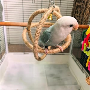 Bird playground - Etsy 日本