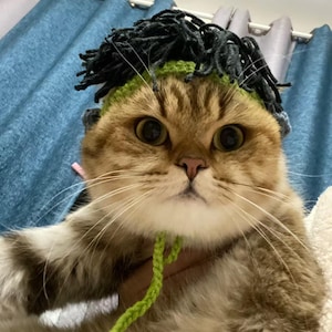 Punk Pet Wig Hat for Cats & Dogs – Funny Mohawk Costume Cap – Handmade Knit Black Hair (6-15 lbs)