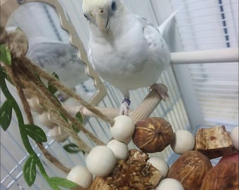 Natural Starfruit and Nut Parrot Chew Toy – Handmade Bird Foraging Toy for Conures, Cockatiels, Budgies (22cm)