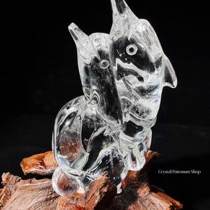 Pode incluir: Uma escultura de cristal transparente de dois golfinhos, com detalhes precisos, repousando sobre um peda&ccedil;o de madeira flutuante. A escultura &eacute; transparente, permitindo a passagem da luz, e est&aacute; sobre um fundo preto. A escultura &eacute; da Crystal Patronum Shop.