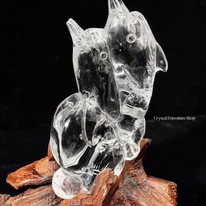 Pode incluir: Uma escultura de cristal transparente de dois golfinhos, montada sobre um peda&ccedil;o de madeira. Os golfinhos s&atilde;o esculpidos de forma intrincada com detalhes vis&iacute;veis. A escultura est&aacute; sobre um fundo preto, destacando a clareza do cristal.