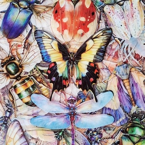 TRANSPARENT Insect Vinyl Waterproof Sticker Dragonfly Sticker Butterfly Sticker Bug Bee Snail Nature Sticker Nature Lover Gift For Laptop
