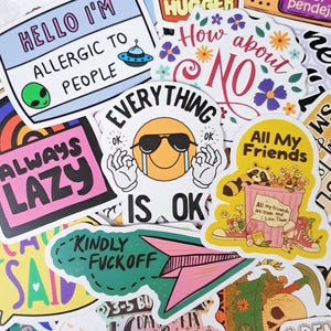 Funny Sarcastic Stickers Adult Jokes Sarcasm Quote Sticker Pack Aesthetic Vinyl Waterproof Stickers for Laptop Phone Hilarious Meme 55146