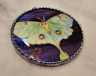 Luna moth stained glass suncatcher
