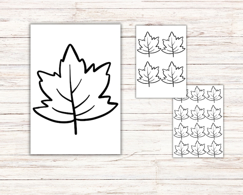 Leaves Outline Bundle PDF Printable Autumn Leaf Designs DIY Fall Crafts Autumn Crafting