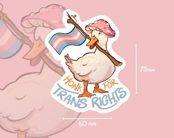 Puede incluir: Una pegatina con un pato de dibujos animados que lleva un sombrero de seta y sostiene una bandera del Orgullo Transgénero. La pegatina dice "Honk for Trans Rights" en texto azul y naranja. Mide 6 cm de ancho y 7,5 cm de alto.