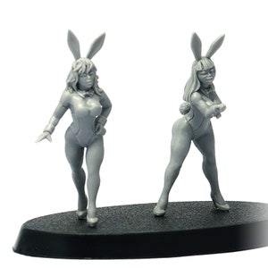 Bunny Girls n13 miniatures, 28mm resin