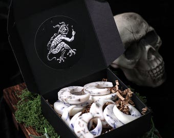 Crescent Moon Gardenia Wax Melts, Spooky Halloween Decor, Dark Academia Home Accents, Witchy Pagan Gift, Gothic Melts