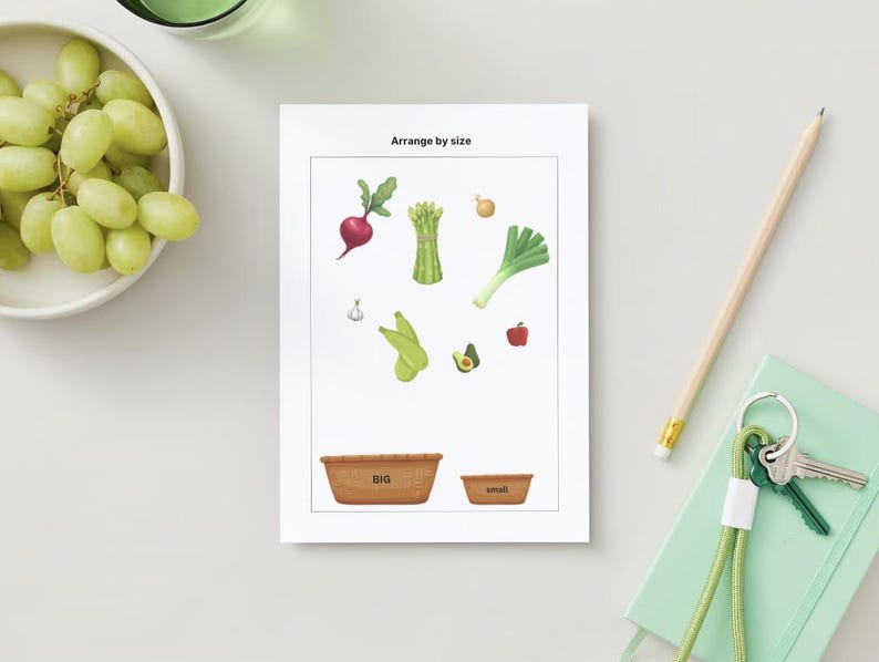 10 Printable Pdf A4 Activity Pages: Arrange by Size for Toddler and ...