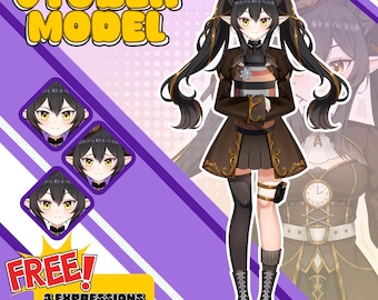 Kundenspezifisches Anime Vtuber Live2D Model Kommision: Inklusive Rigging & Free expressions and Toggles