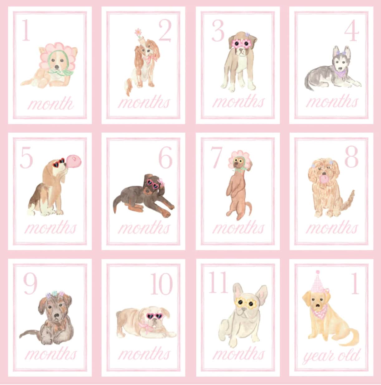 Pink Puppy Watercolor Monthly Milestone Card Set - Baby Girl - Etsy