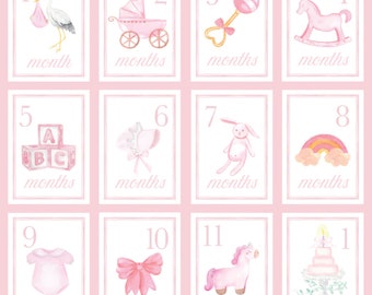 Pink Watercolor Monthly Milestone Card Set - Baby Girl