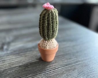 Crotchet cactus in pot