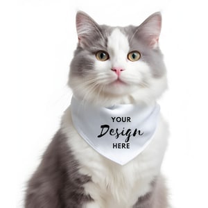 Cat Bandana Mockup, Pet collar stock Sublimation collar Bandana dogs, Cat Mockup, Pet bandana Mockup, Digital Download Cat Bandana, Pet Mock