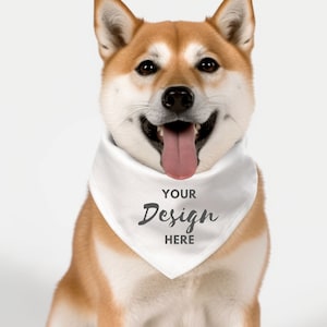 Dog Bandana Mockup, Pet collar stock Sublimation collar Bandana dogs, Dog Mockup, Pet bandana Mockup, Digital Download Dog Bandana, Pet Mock