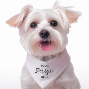 Dog Bandana Mockup, Pet collar stock Sublimation collar Bandana dogs, Dog Mockup, Pet bandana Mockup, Digital Download Dog Bandana, Pet Mock