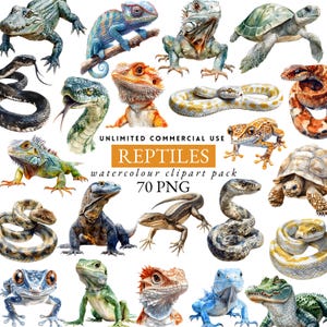 May include: Watercolor clipart pack featuring various reptiles, including snakes, lizards, and turtles. The image includes a chameleon on a branch, a bearded dragon, and a green iguana. The text reads "REPTILES watercolour clipart pack 70 PNG".