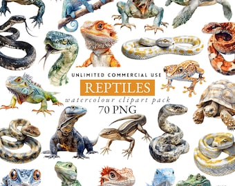 reptiles clipart, snakes clipart, lizard clipart, exotic animals, alligator, turtle, iguana, reptiles invite png, reptile tshirt transfer 66