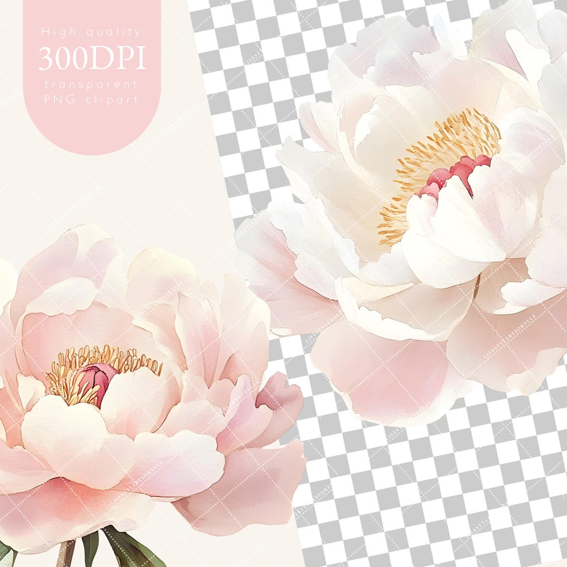 Watercolor Pink Peonies Clipart, Floral Clipart, Blush Pink Flowers ...