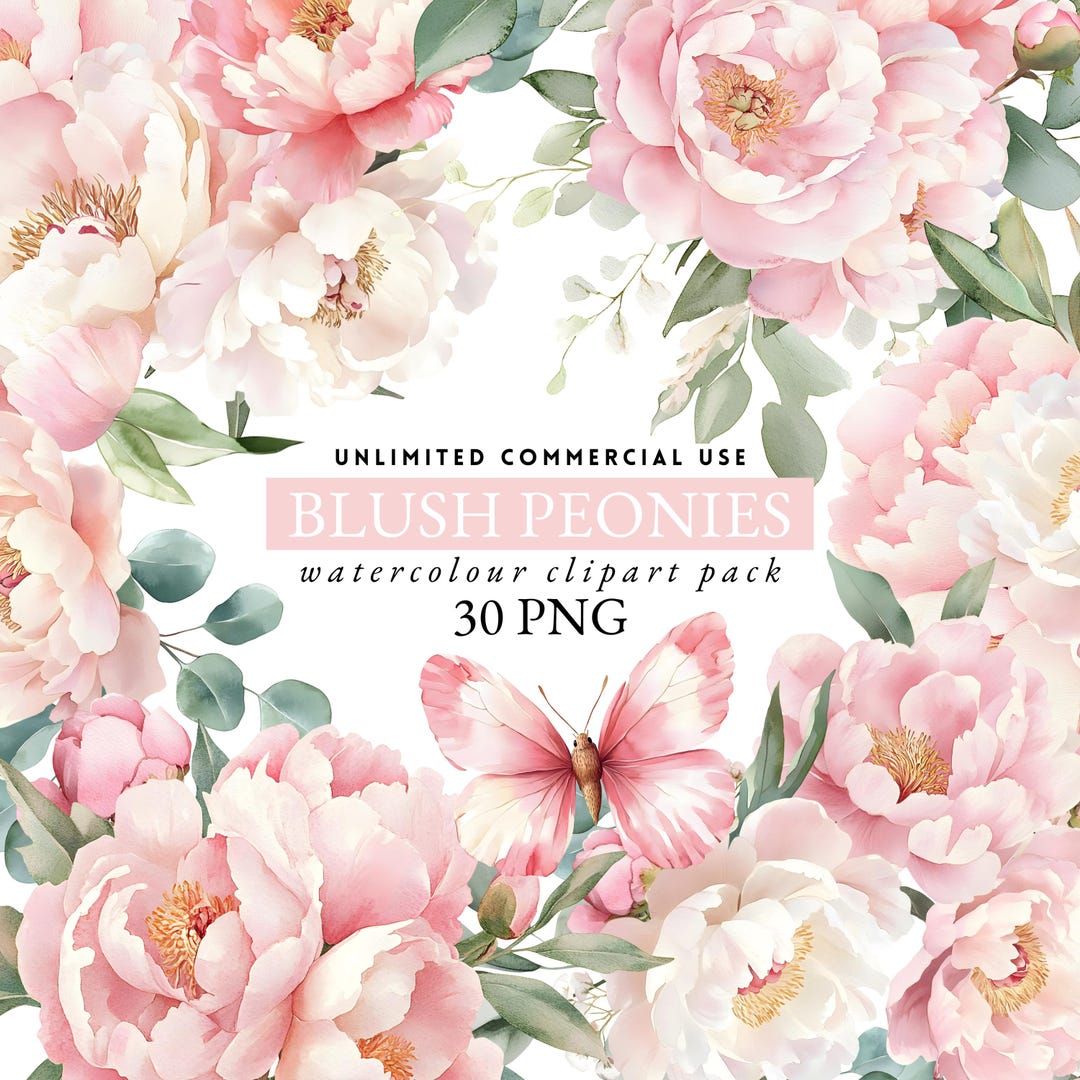 Watercolor Pink Peonies Clipart, Floral Clipart, Blush Pink Flowers ...