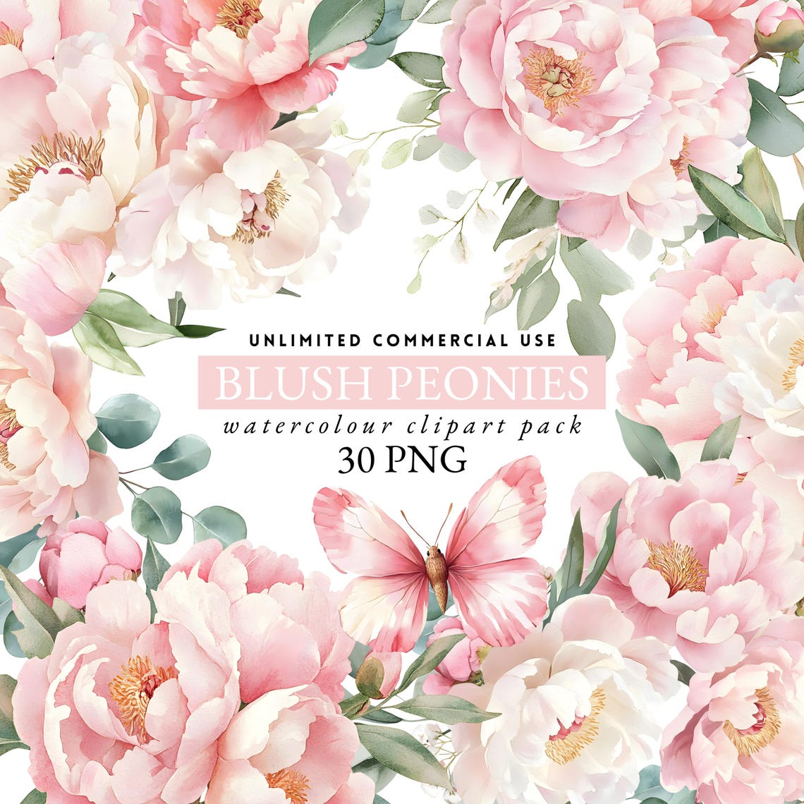Watercolor Pink Peonies Clipart, Floral Clipart, Blush Pink Flowers ...