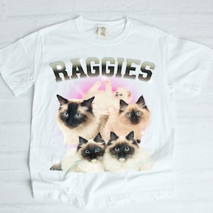 Rag Doll Vintage Crewneck Shirt - Rag Doll Cat Lover Gift, Rag Doll Shirt, Gift For Rag Doll Owner, Raggies