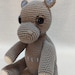 see more listings in the Amigurumi Dolls section