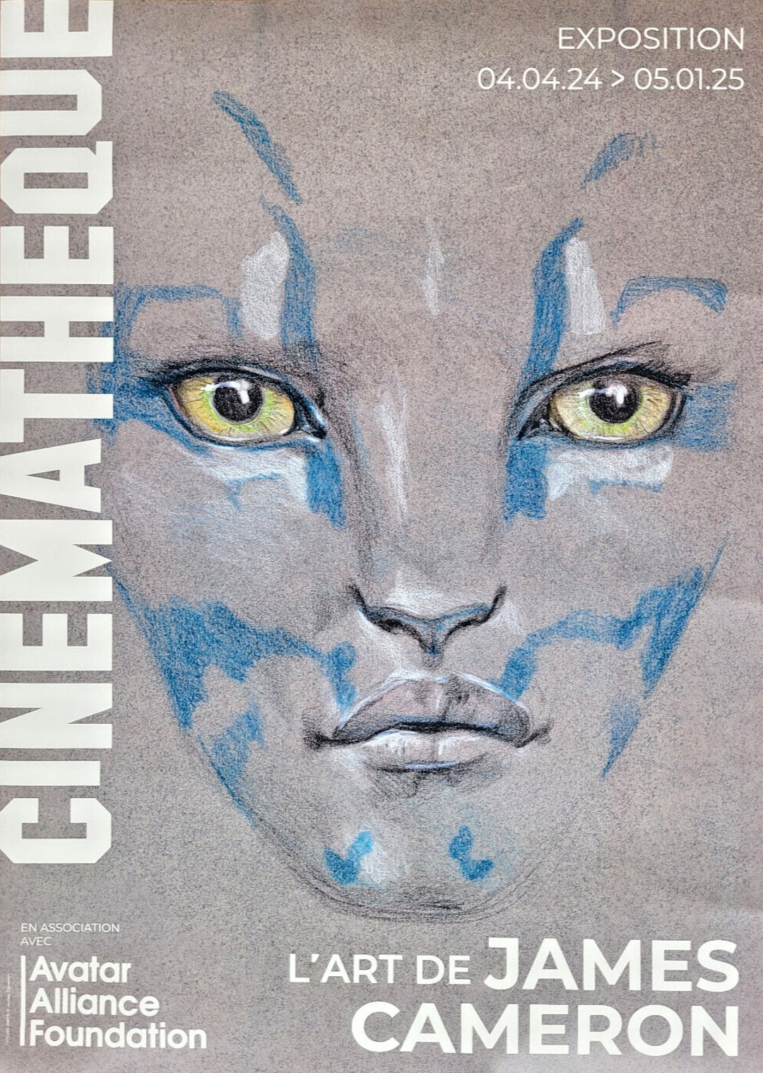 James Cameron - Original Exhibition Poster - Avatar - Cinematheque Paris,  France - 2024 - Etsy Norway, image size:1080x1518