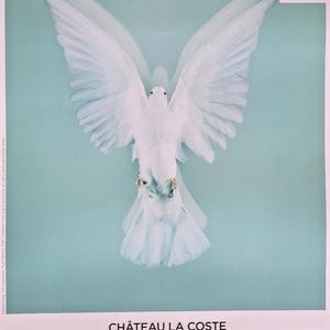 Damien Hirst - Original exhibition poster - The Light That Shines - 2024