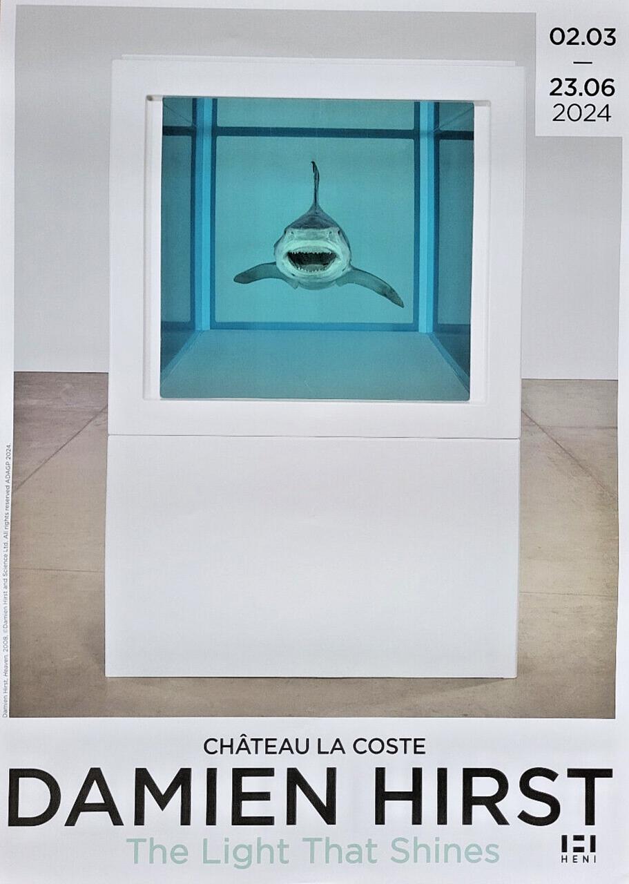 Damien hirst shark - Etsy 日本