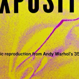 Basquiat x Warhol - original exhibition poster - Vuitton Foundation Paris -2023 image 6