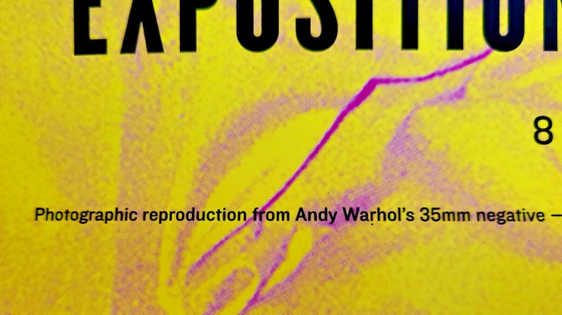 Basquiat x Warhol - original exhibition poster - Vuitton Foundation Paris -2023 image 6