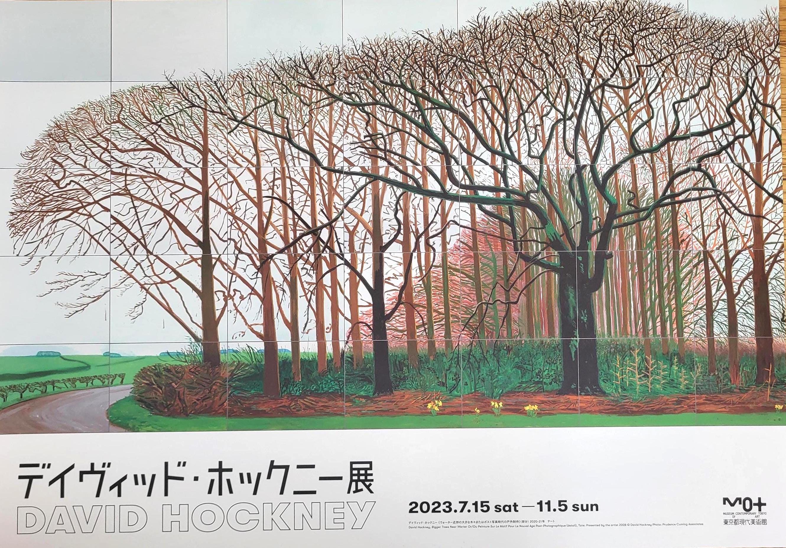 Hockney in Tokyo - Original Exhibition Poster - Japan - 51cm