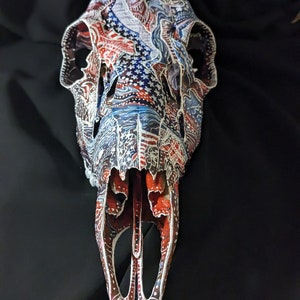 Skull Art- America the Beautiful - White Tail Deer Skull