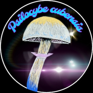 Adesivo holográfico de 3" - P. cubensis Pale Glow