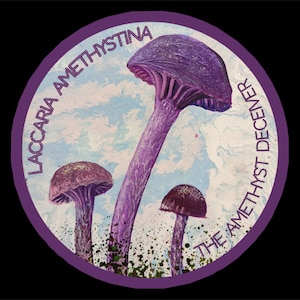 Adesivo de 3" - Laccaria amethystina - The Amethyst Deceiver